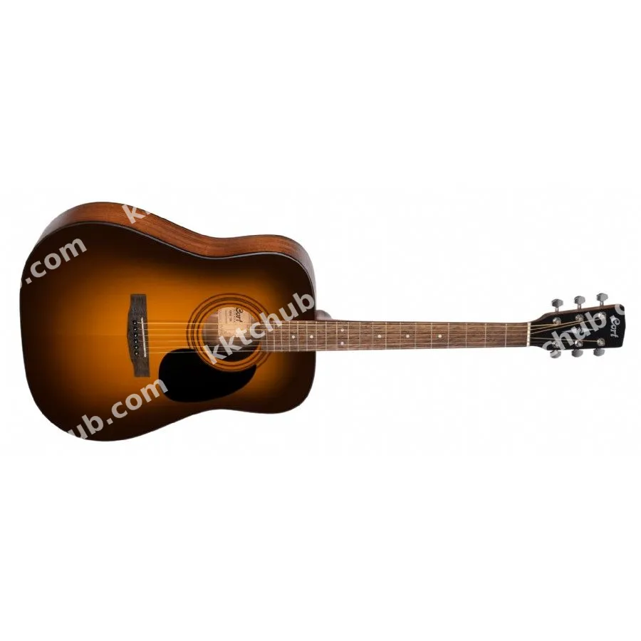 Akustik Gitar Kılıflı